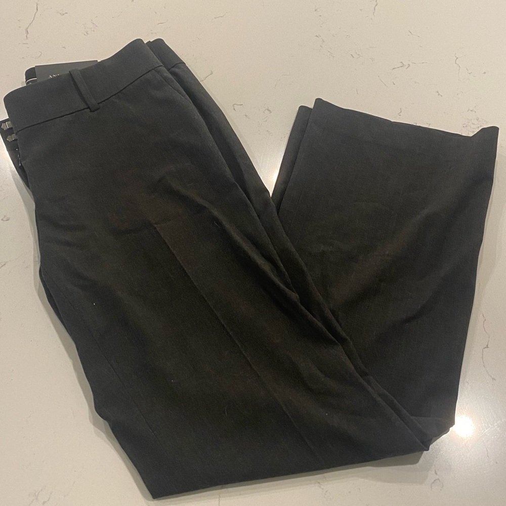 NWT Ann Taylor Trousers